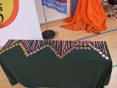 Obraz 3: Arawashi - Medalowe Młodziki!