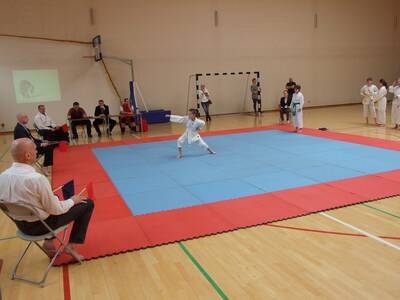 Obraz 4: Arawashi - Medalowe Młodziki!