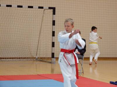 Obraz 5: Arawashi - Medalowe Młodziki!