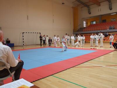 Obraz 7: Arawashi - Medalowe Młodziki!