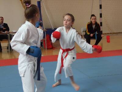 Obraz 11: Arawashi - Medalowe Młodziki!