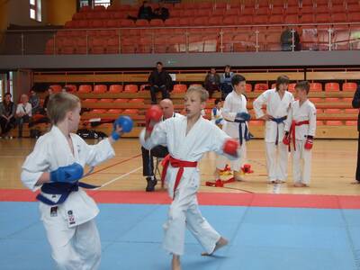 Obraz 13: Arawashi - Medalowe Młodziki!