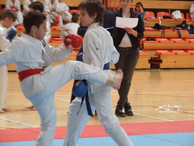 Obraz 14: Arawashi - Medalowe Młodziki!