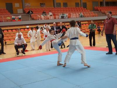 Obraz 15: Arawashi - Medalowe Młodziki!