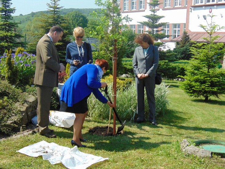 Jakie funkcje spełnia las?