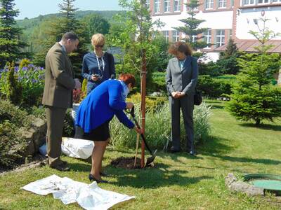Obraz 2: Jakie funkcje spełnia las?