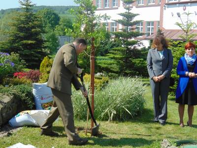 Obraz 3: Jakie funkcje spełnia las?