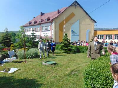 Obraz 4: Jakie funkcje spełnia las?