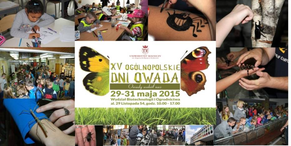 XV Ogólnopolskie Dni Owada w Krakowie