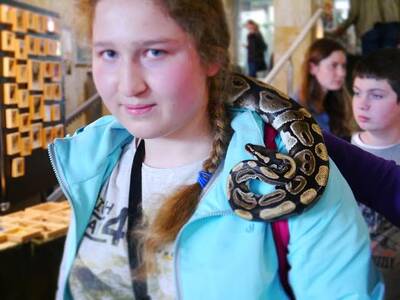 Obraz 2: XV Ogólnopolskie Dni Owada w Krakowie