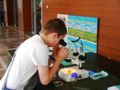 Obraz 4: XV Ogólnopolskie Dni Owada w Krakowie