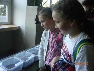 Obraz 5: XV Ogólnopolskie Dni Owada w Krakowie