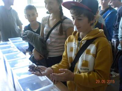 Obraz 7: XV Ogólnopolskie Dni Owada w Krakowie