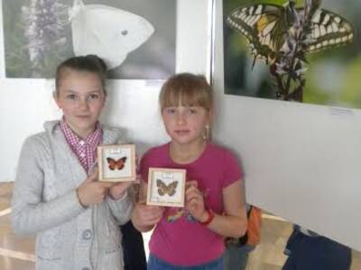 Obraz 8: XV Ogólnopolskie Dni Owada w Krakowie