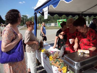 Obraz 14: 8 sierpnia na Błoniach Amfiteatru Pod Gr...