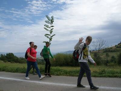 Obraz 9: XIV Rajd Razem Raźniej w Radziechowach ju...