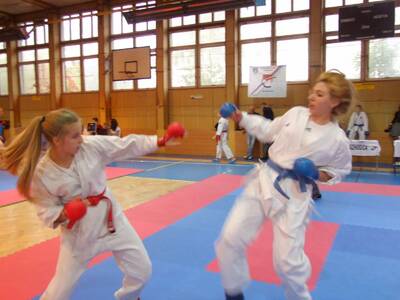 Obraz 10: W słowackiej  Trstenie walczyli karatecy...
