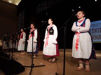 Obraz 20: 30 stycznia odbył się Karnawał Powiatowy...