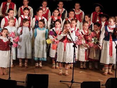 Obraz 40: 30 stycznia odbył się Karnawał Powiatowy...