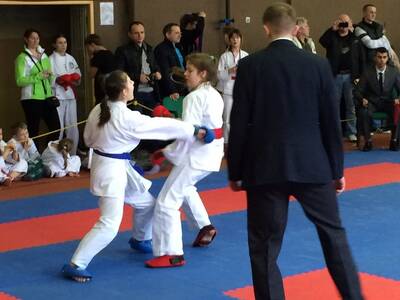 Obraz 6: Czeska wiosna w karate!