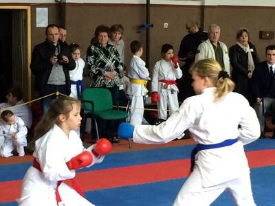 Obraz 9: Czeska wiosna w karate!