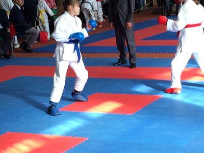 Obraz 13: Czeska wiosna w karate!