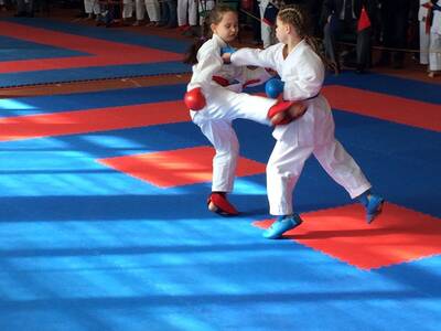 Obraz 14: Czeska wiosna w karate!