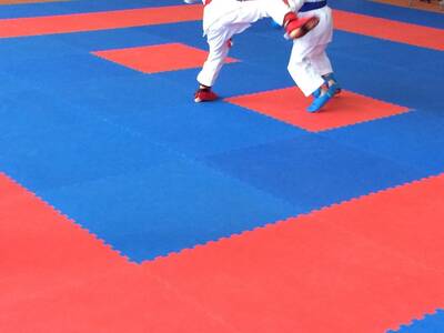 Obraz 15: Czeska wiosna w karate!