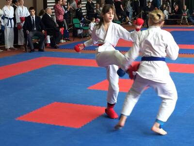 Obraz 17: Czeska wiosna w karate!