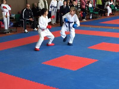 Obraz 18: Czeska wiosna w karate!