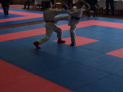 Obraz 19: Czeska wiosna w karate!