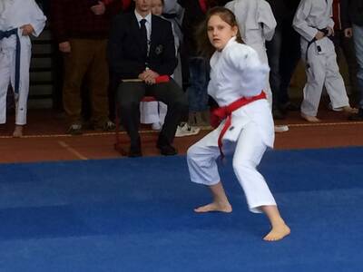 Obraz 20: Czeska wiosna w karate!