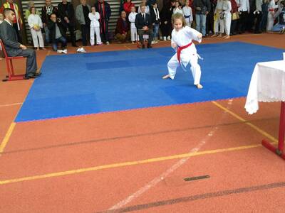 Obraz 21: Czeska wiosna w karate!