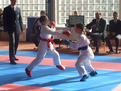 Obraz 31: Czeska wiosna w karate!