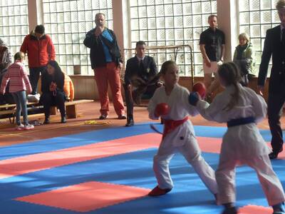 Obraz 32: Czeska wiosna w karate!