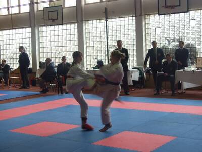 Obraz 35: Czeska wiosna w karate!