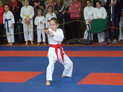 Obraz 40: Czeska wiosna w karate!