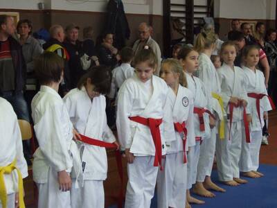 Obraz 42: Czeska wiosna w karate!