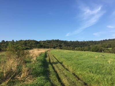Obraz 9: Pierwsze zajęcia Nordic Walking w Juszczy...