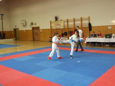 Obraz 10: POLSKO CZESKIE WALKI