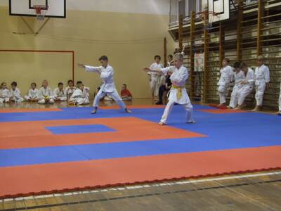 Obraz 4: Pierwszy krok w karate