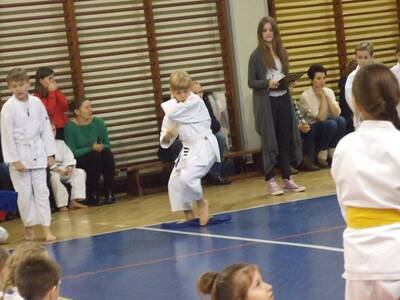 Obraz 8: Walki w Radziechowach!