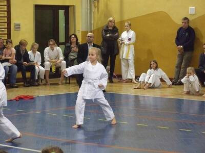 Obraz 11: Walki w Radziechowach!