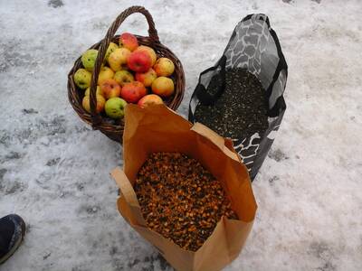 Obraz 3: Dokarmiamy leśne zwierzęta