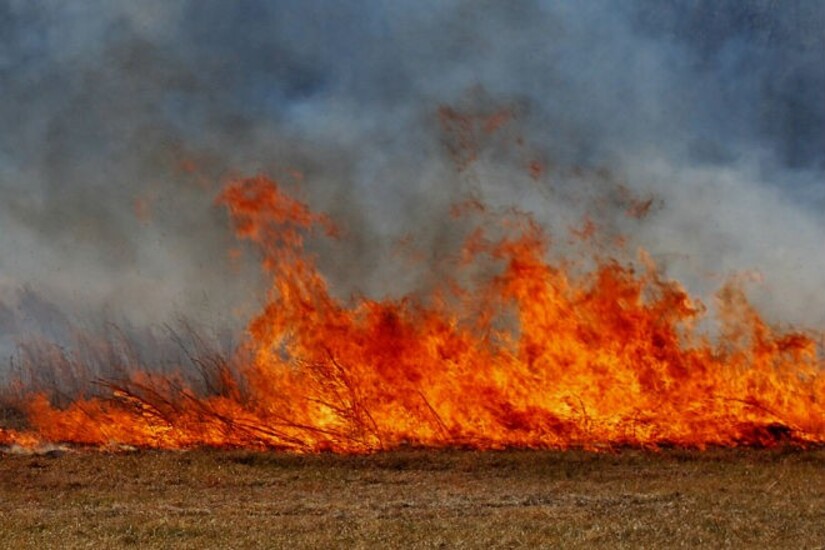 &#039;&#039;Nie wypalaj traw - przecież nie zabija...