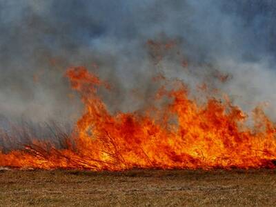 ''Nie wypalaj traw - przecież nie zabija się życia...