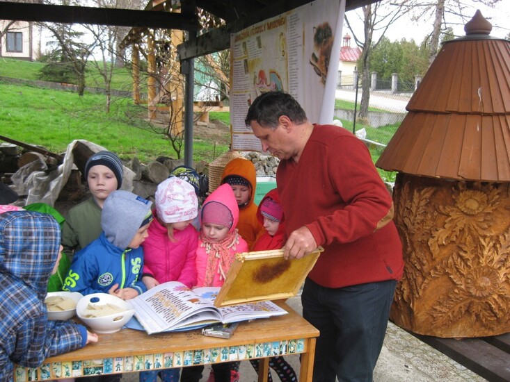 Pozwólmy pszczołom zapylać rośliny i wytwarzać miód