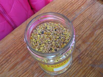 Obraz 2: Pozwólmy pszczołom zapylać rośliny i wytw...