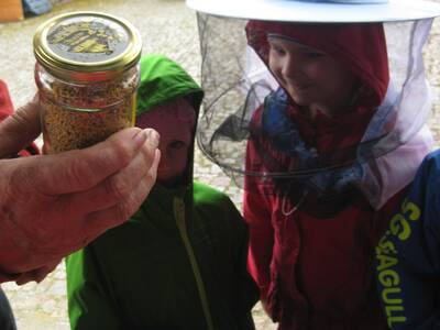 Obraz 3: Pozwólmy pszczołom zapylać rośliny i wytw...