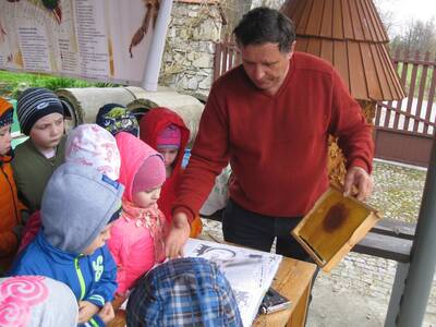 Obraz 6: Pozwólmy pszczołom zapylać rośliny i wytw...